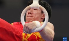 九游体育直播-关于体操团体：俄罗斯队获得男子团体冠军的信息