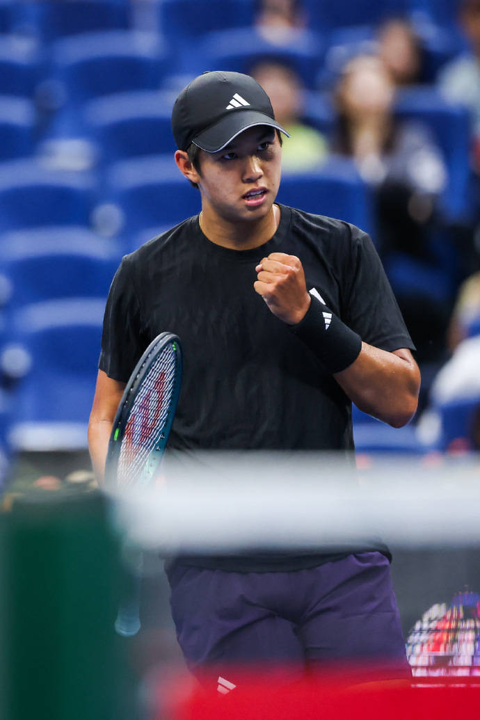 日本网球队爆冷德国网球队，梅德韦杰夫三分雨点燃全场的简单介绍