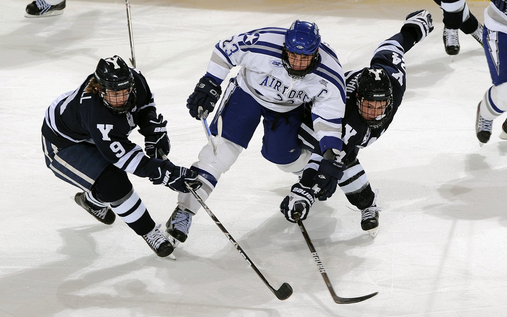 新王当立,ATP总决赛全面碾压戴维斯杯,兹维列夫刷新纪录开启网球新时代
